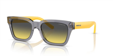 Arnette Cold Heart 2.0 0AN4334 12432Q 53 Transparent Grey / Yellow/Dark Grey 53 / Polyamide Bio / Acetate / Acetate