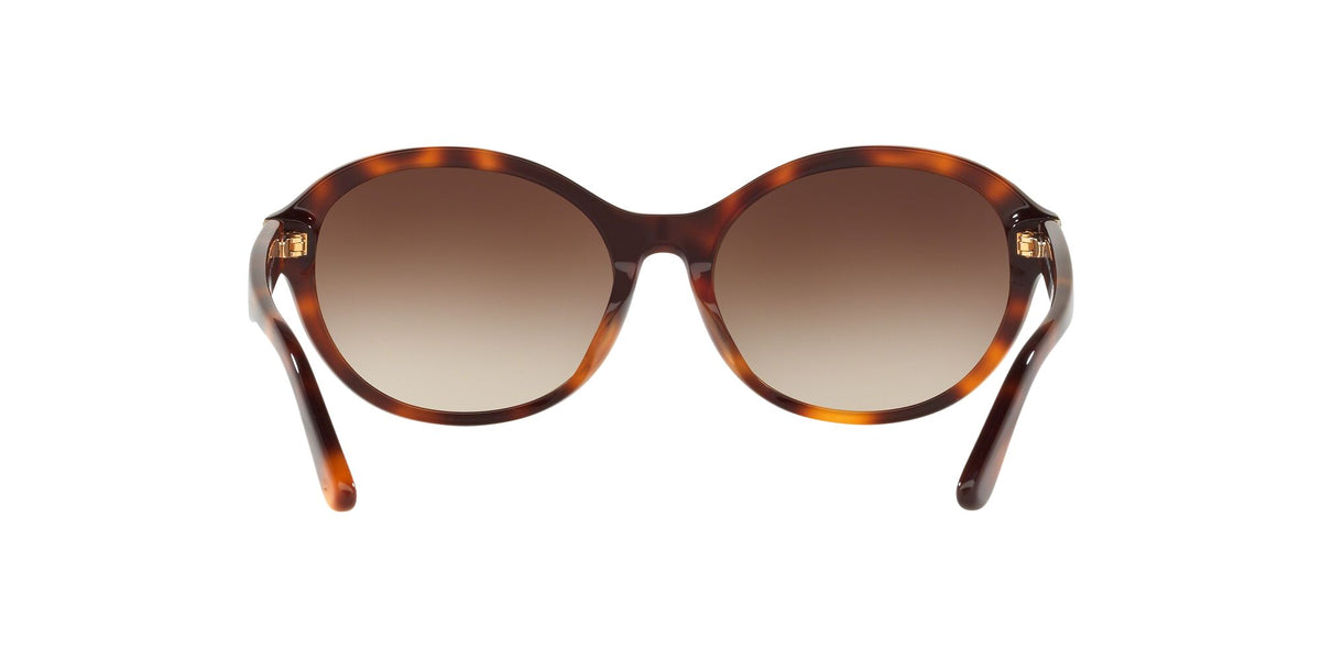 Burberry BE 4274D Light Havana / Brown Gradient 58 / Plastic / Plastic