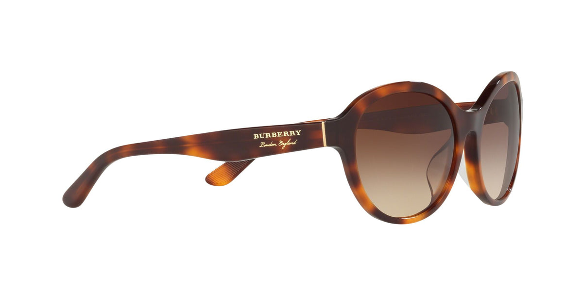 Burberry BE 4274D Light Havana / Brown Gradient 58 / Plastic / Plastic
