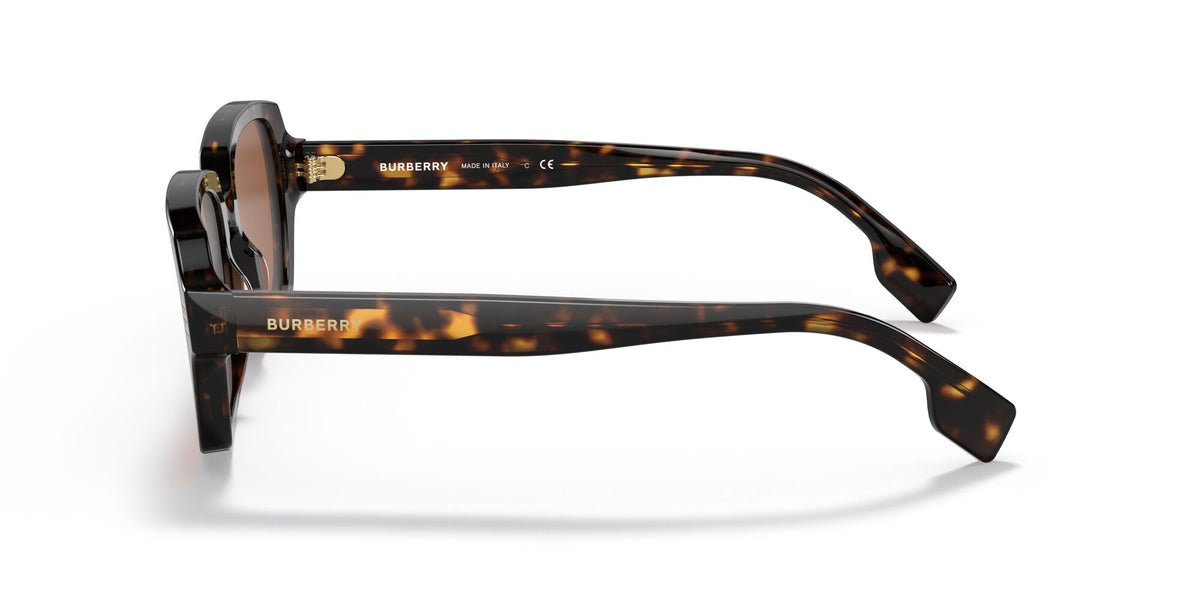 Burberry BE 4349 Dark Havana / Dark Brown 51 / Plastic / Plastic