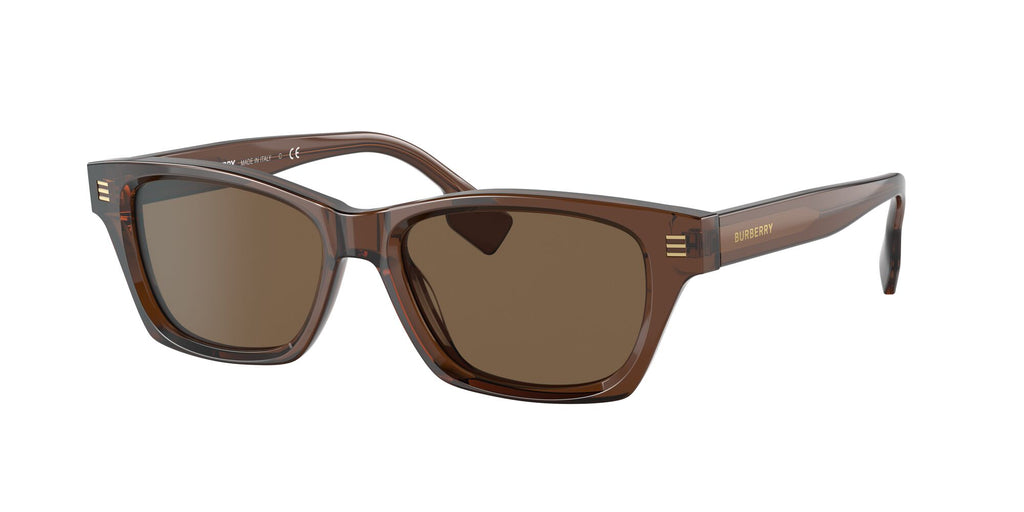 Burberry BE 4357F Brown / Dark Brown 53 / Plastic / Plastic