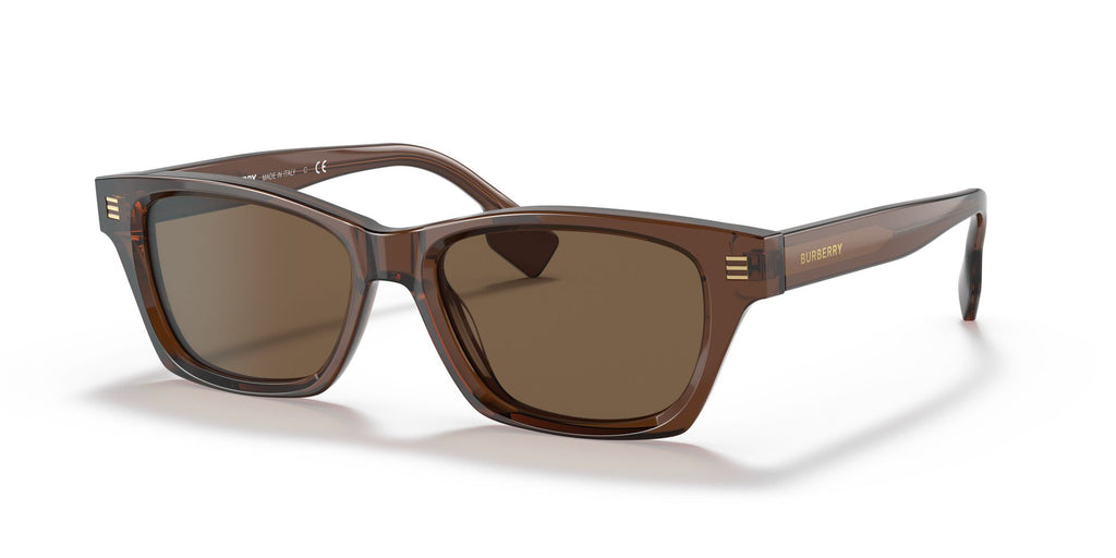 Burberry BE 4357F Brown / Dark Brown 53 / Plastic / Plastic