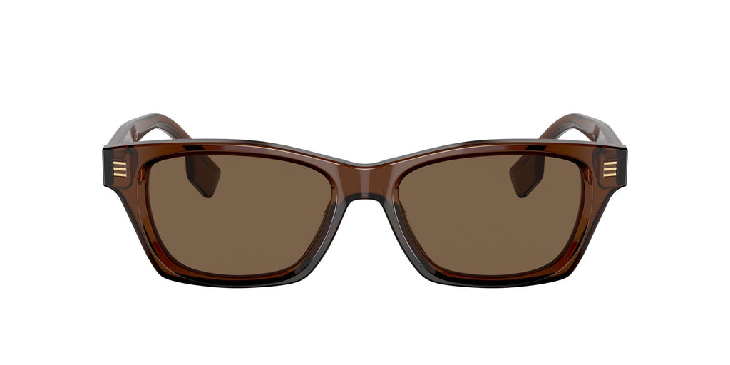 Burberry BE 4357 Brown / Dark Brown 53 / Plastic / Plastic