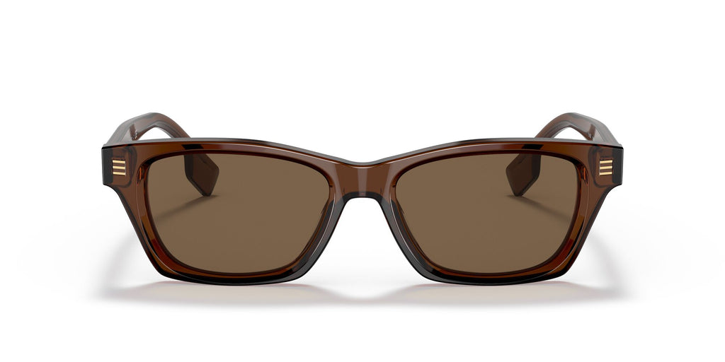 Burberry BE 4357 Brown / Dark Brown 53 / Plastic / Plastic