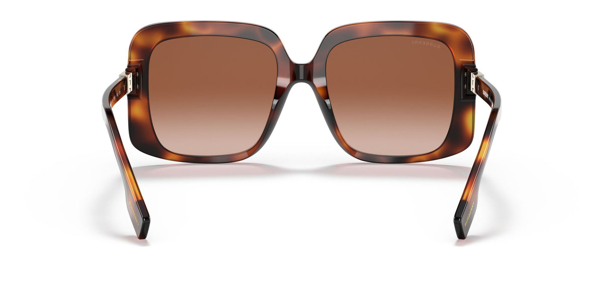 Burberry BE 4363 Light Havana / Brown Gradient 55 / Plastic / Plastic