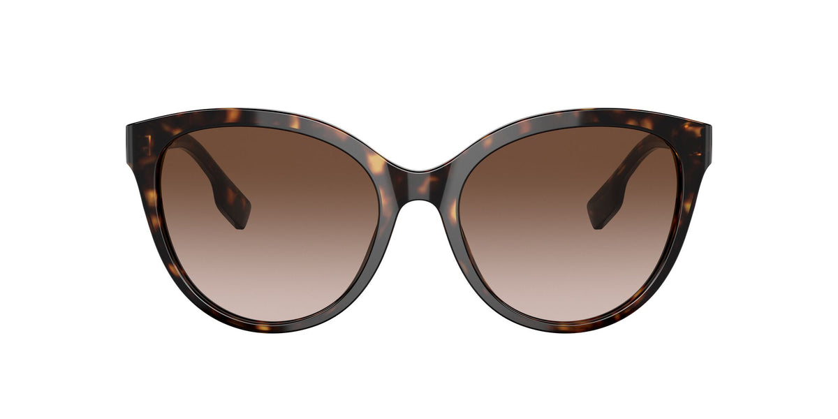 Burberry BE 4365 Dark Havana / Brown Gradient 55 / Plastic / Plastic