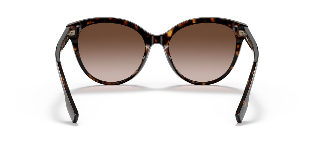 Burberry BE 4365 Dark Havana / Brown Gradient 55 / Plastic / Plastic