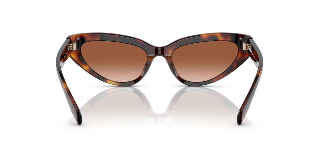 Burberry BE 4373U Light Havana / Brown Gradient 54 / Plastic / Plastic