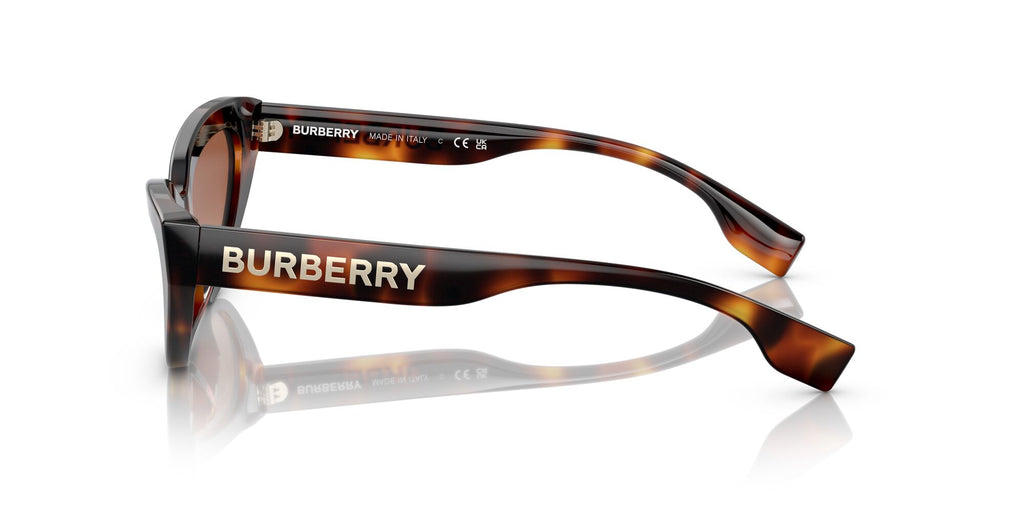 Burberry BE 4373U Light Havana / Brown Gradient 54 / Plastic / Plastic