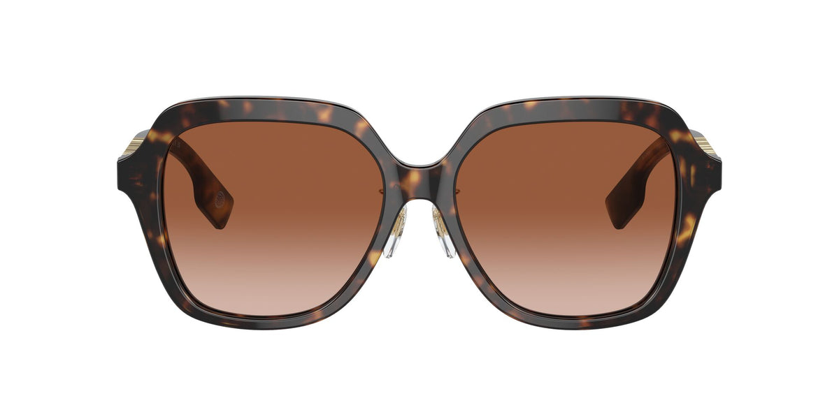 Burberry Joni 0BE4389F 300213 55 Dark Havana / Brown Gradient 55 / Polyamide Bio / Acetate / Metal