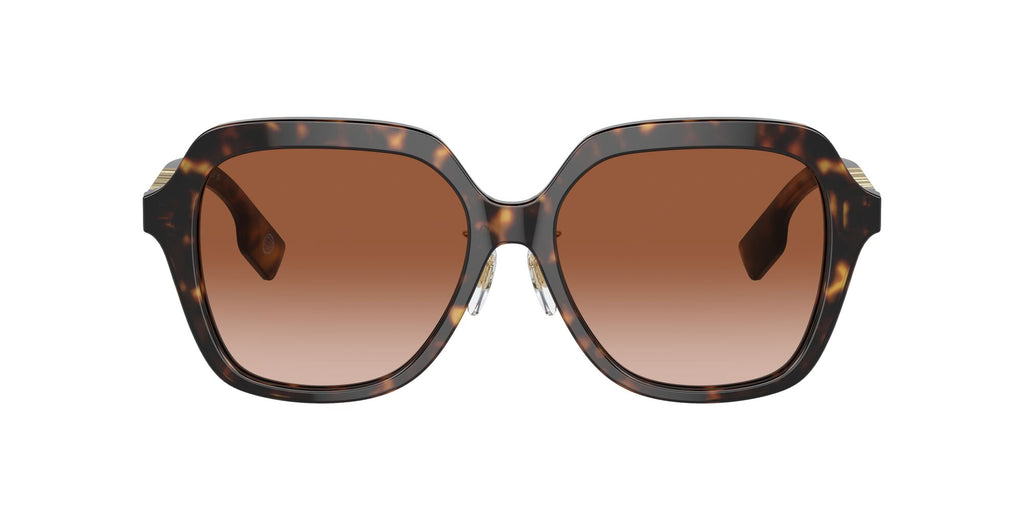 Burberry Joni 0BE4389F 300213 55 Dark Havana / Brown Gradient 55 / Polyamide Bio / Acetate / Metal