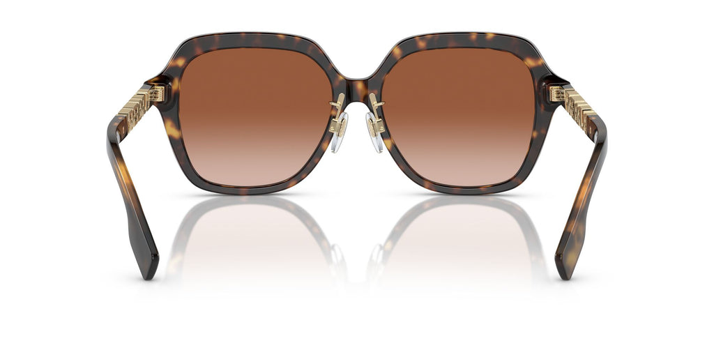 Burberry Joni 0BE4389F 300213 55 Dark Havana / Brown Gradient 55 / Polyamide Bio / Acetate / Metal