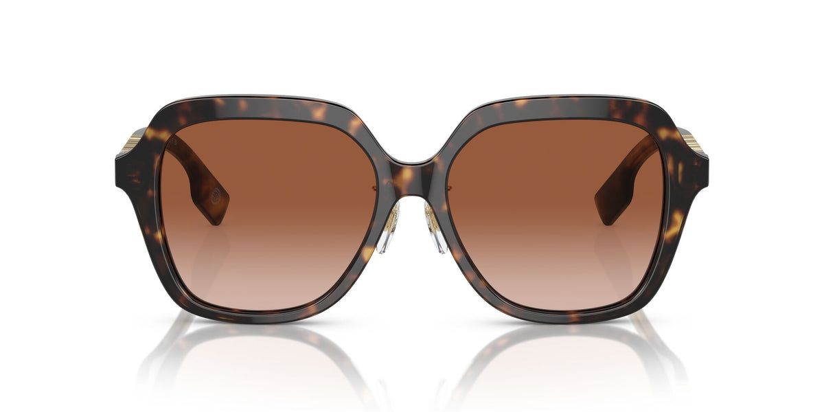 Burberry Joni 0BE4389F 300213 55 Dark Havana / Brown Gradient 55 / Polyamide Bio / Acetate / Metal