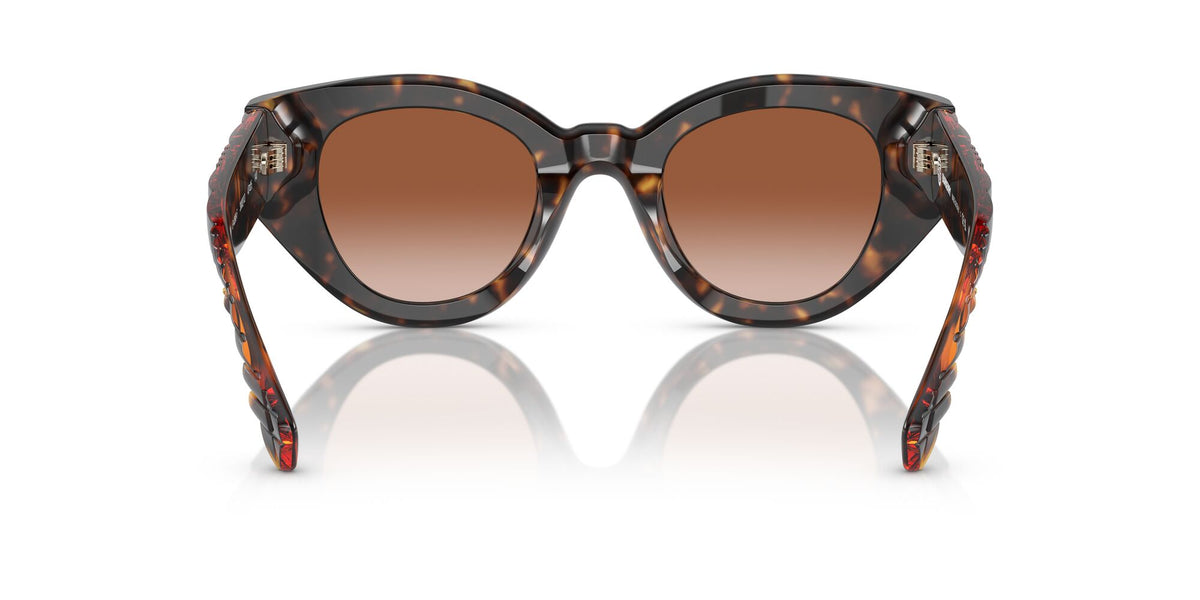 Burberry Meadow 0BE4390F 300213 47 Dark Havana / Brown Gradient 47 / Polyamide Bio / Acetate / Molded