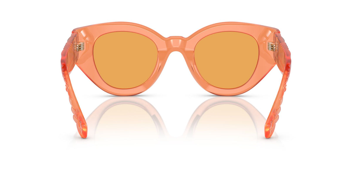 Burberry Meadow 0BE4390F 4068/7 47 Orange / Orange 47 / Polyamide Bio / Acetate / Molded
