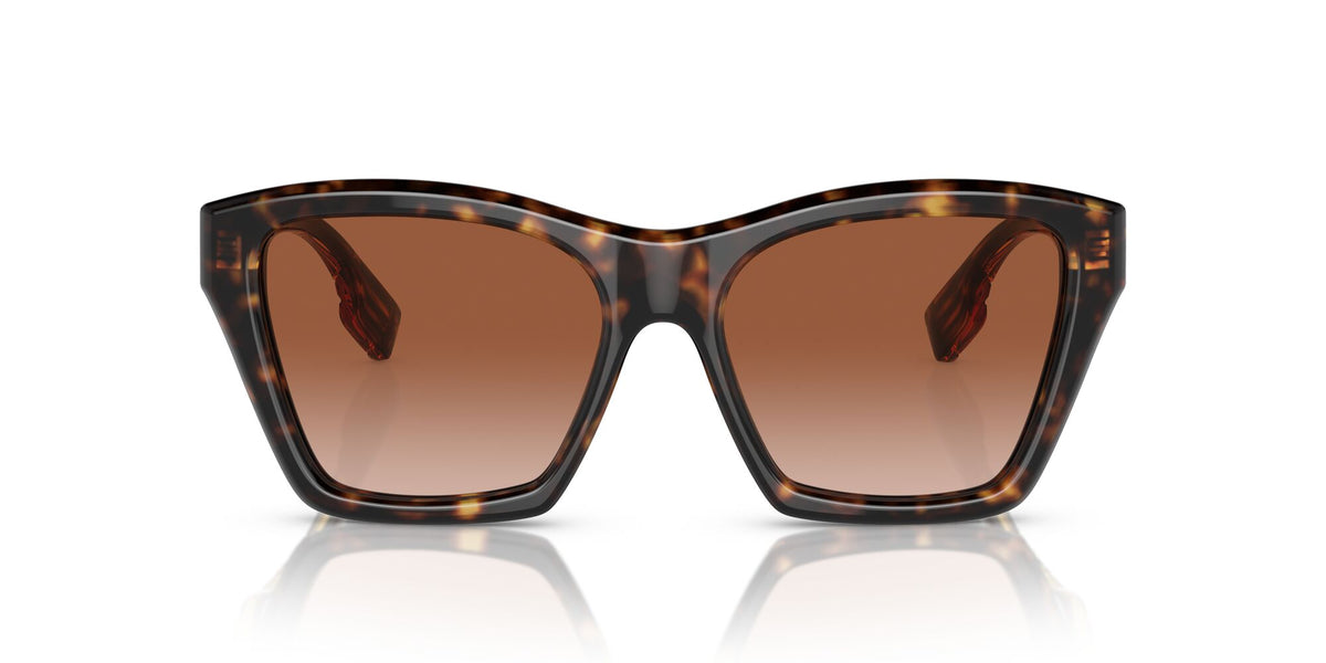 Burberry Arden 0BE4391 300213 54 Dark Havana / Brown Gradient 54 / Polyamide Bio / Acetate / Molded