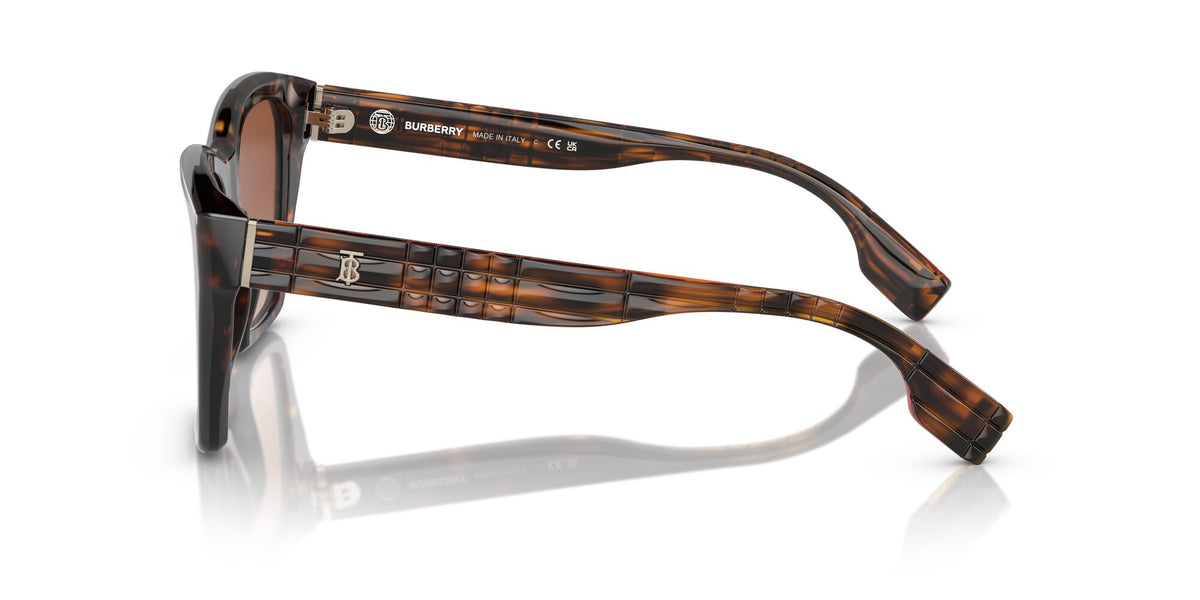 Burberry Arden 0BE4391 300213 54 Dark Havana / Brown Gradient 54 / Polyamide Bio / Acetate / Molded