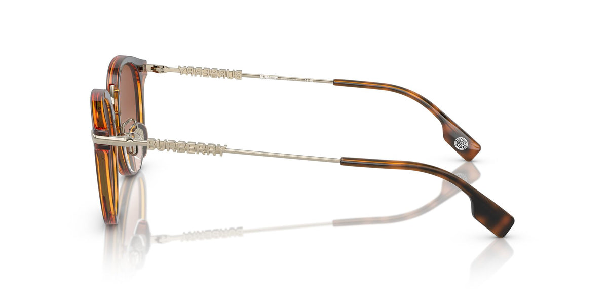 Burberry Kelsey 0BE4398D 300213 50 Dark Havana / Brown Gradient 50 / Polyamide Bio / Injected / Metal