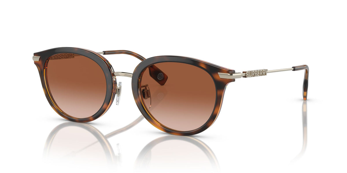 Burberry Kelsey 0BE4398D 300213 50 Dark Havana / Brown Gradient 50 / Polyamide Bio / Injected / Metal