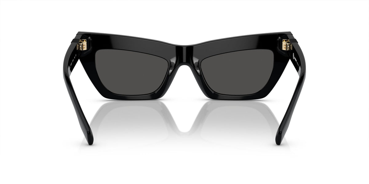 Burberry  0BE4405F 409387 51 Black / Dark Grey 51 / Polyamide Bio / Acetate / Injected