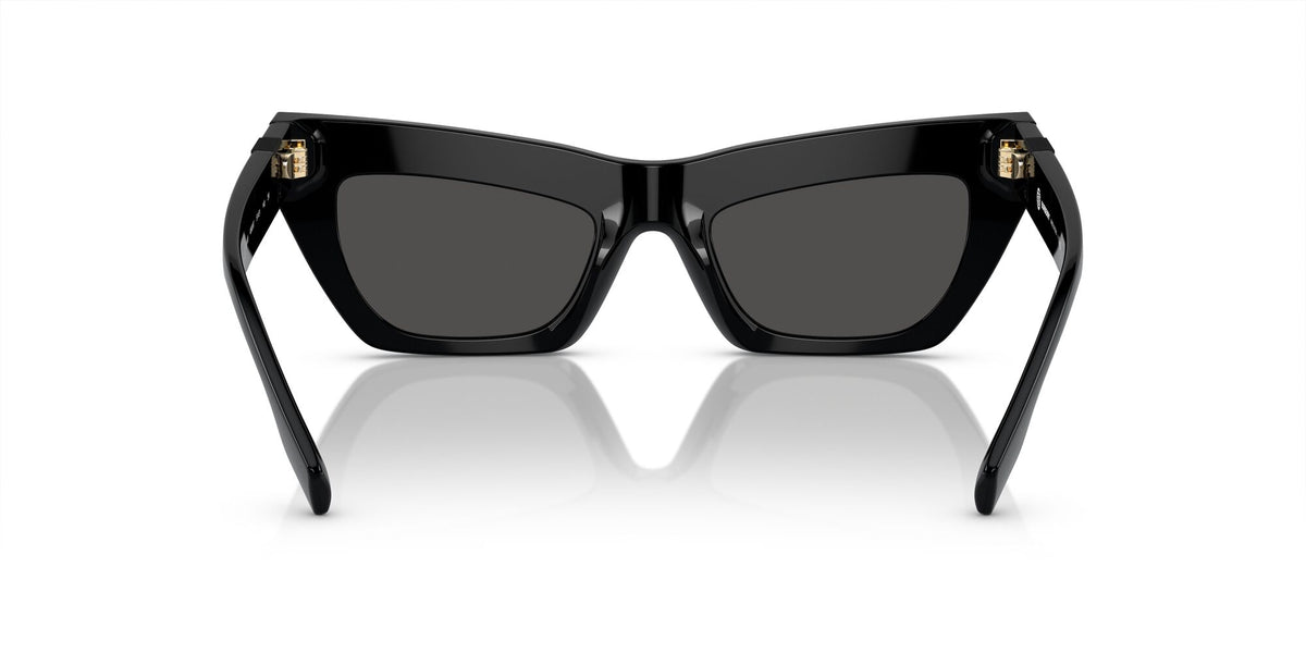 Burberry  0BE4405 409387 51 Black / Dark Grey