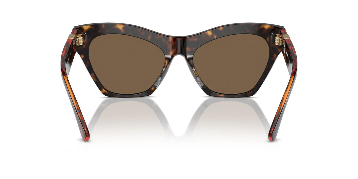 Burberry  0BE4420U 300273 55 Dark Havana / Dark Brown