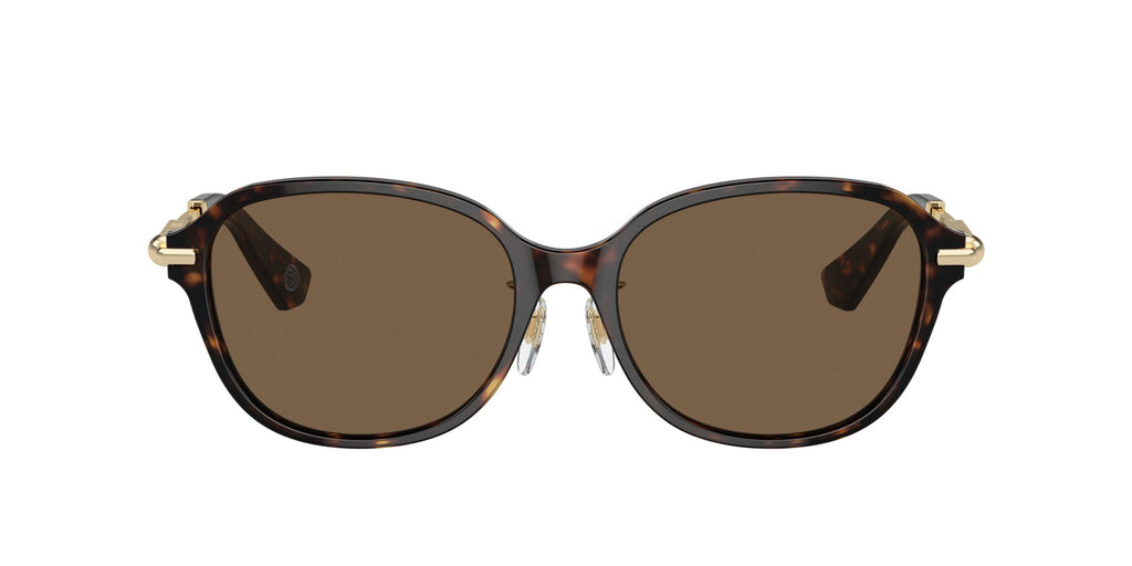 Burberry  0BE4429D 300273 56 Dark Havana / Dark Brown