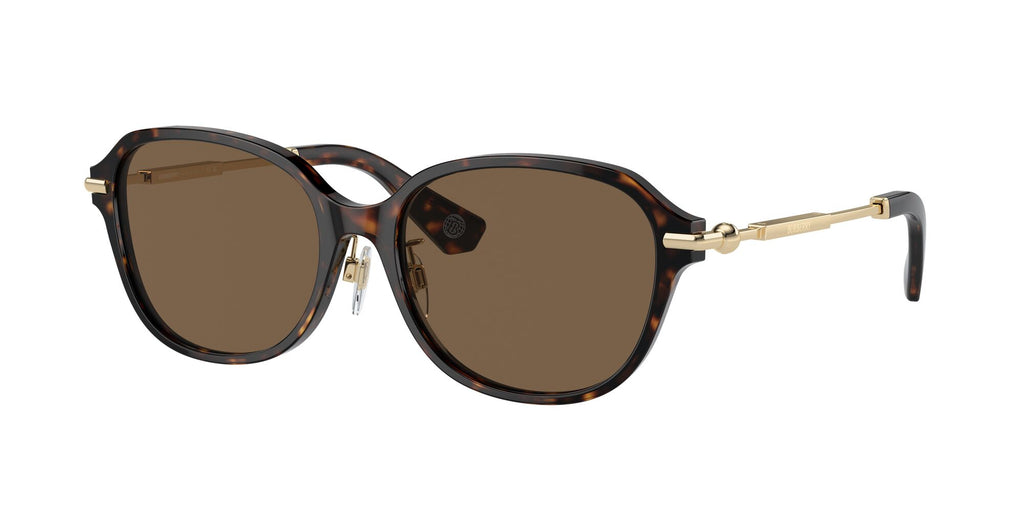 Burberry  0BE4429D 300273 56 Dark Havana / Dark Brown