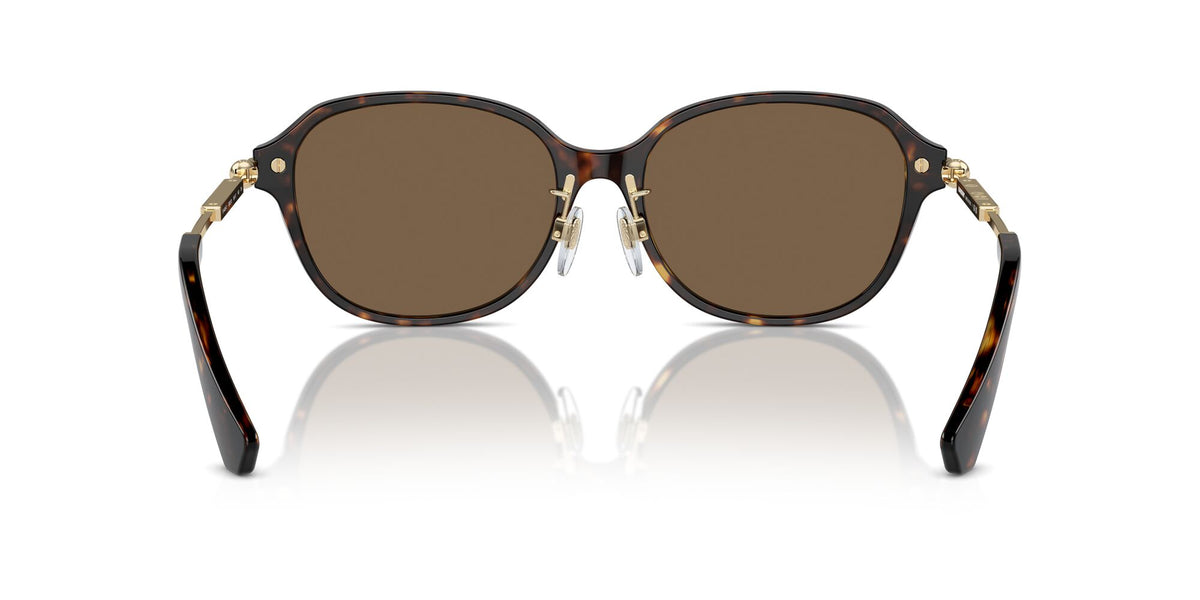 Burberry  0BE4429D 300273 56 Dark Havana / Dark Brown