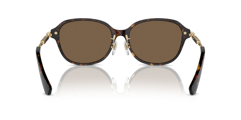 Burberry  0BE4429D 300273 56 Dark Havana / Dark Brown