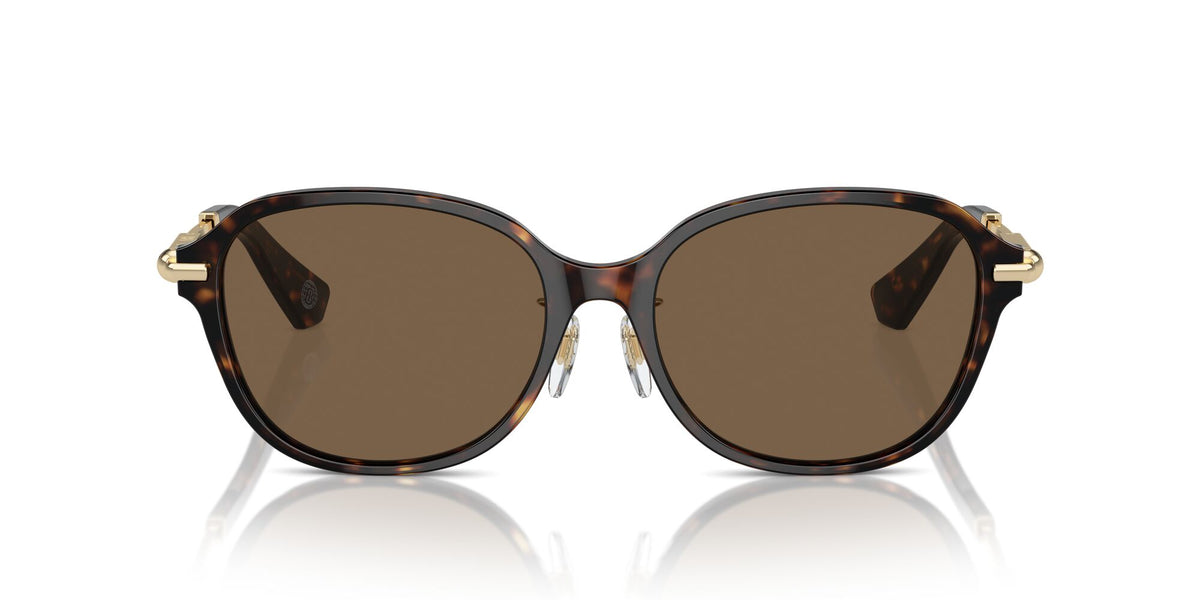 Burberry  0BE4429D 300273 56 Dark Havana / Dark Brown