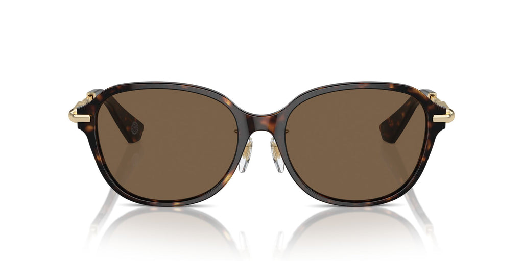 Burberry  0BE4429D 300273 56 Dark Havana / Dark Brown