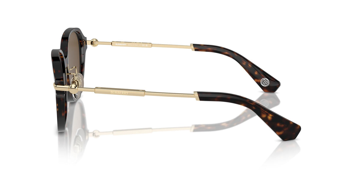 Burberry  0BE4429D 300273 56 Dark Havana / Dark Brown