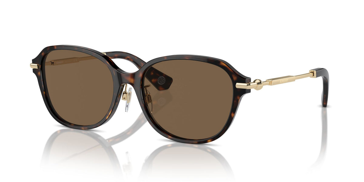 Burberry  0BE4429D 300273 56 Dark Havana / Dark Brown