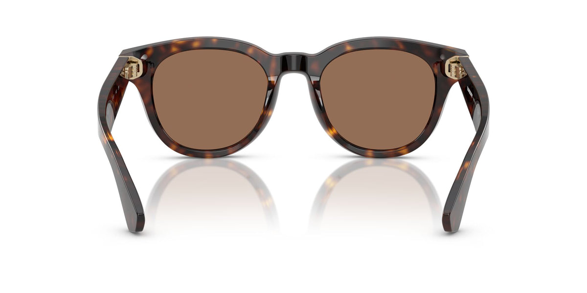 Burberry  0BE4439 300273 51 Dark Havana/ Dark Brown
