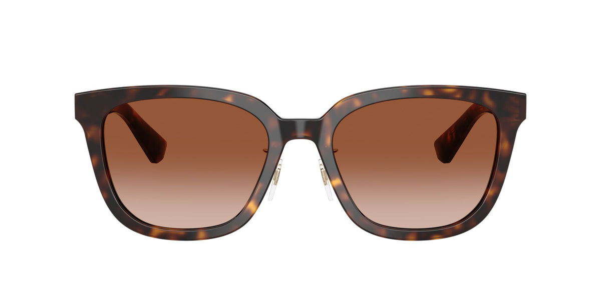 Burberry  0BE4446D 300213 57 Dark Havana/ Brown Gradient