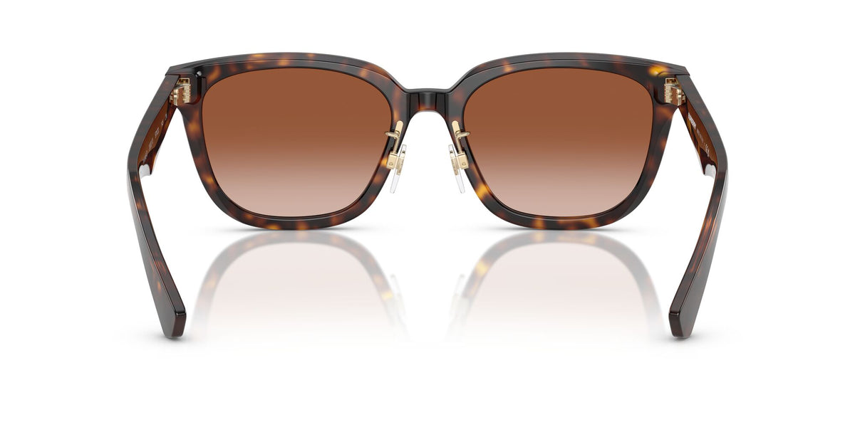 Burberry  0BE4446D 300213 57 Dark Havana/ Brown Gradient