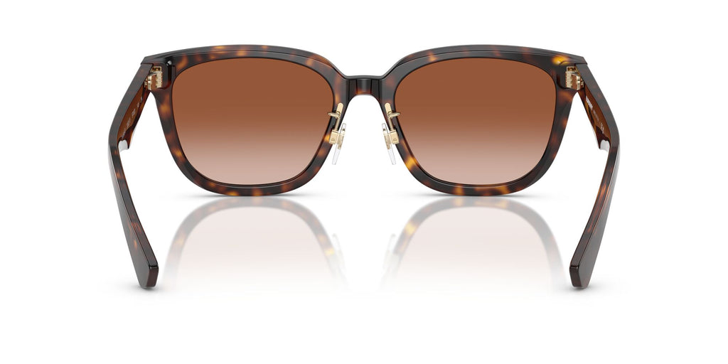 Burberry  0BE4446D 300213 57 Dark Havana/ Brown Gradient