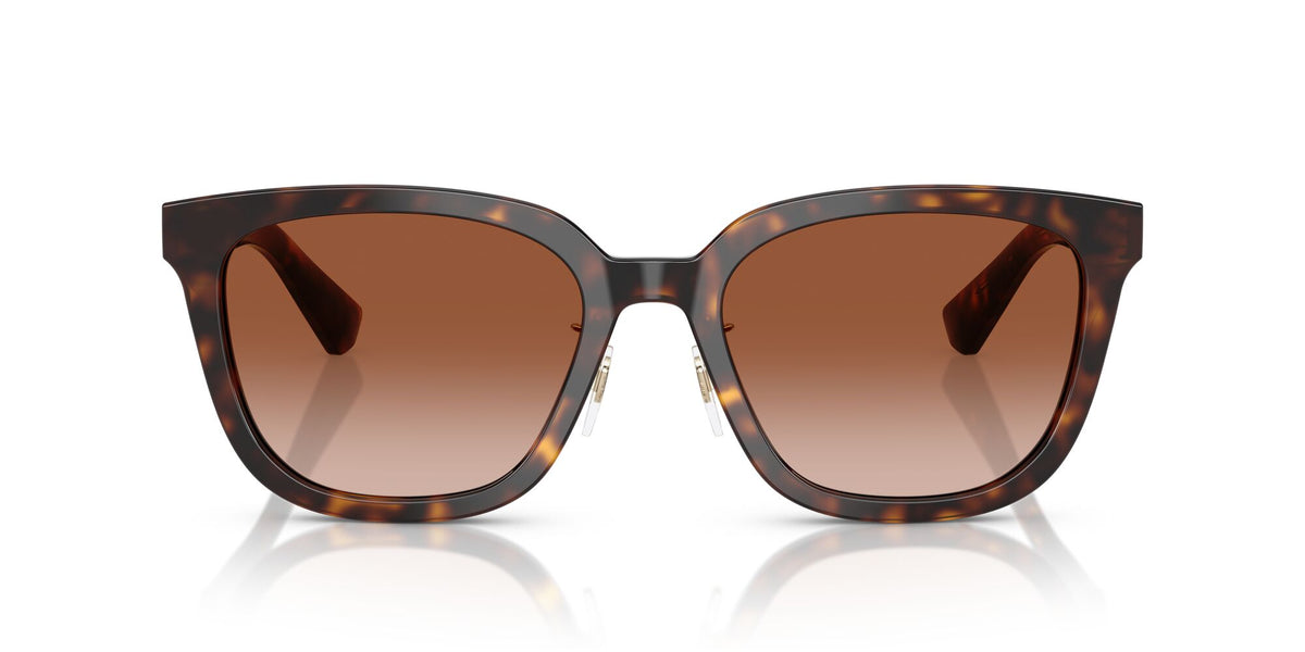 Burberry  0BE4446D 300213 57 Dark Havana/ Brown Gradient