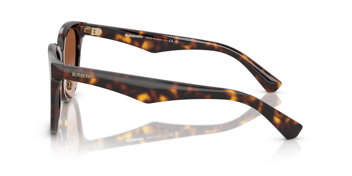 Burberry  0BE4446D 300213 57 Dark Havana/ Brown Gradient