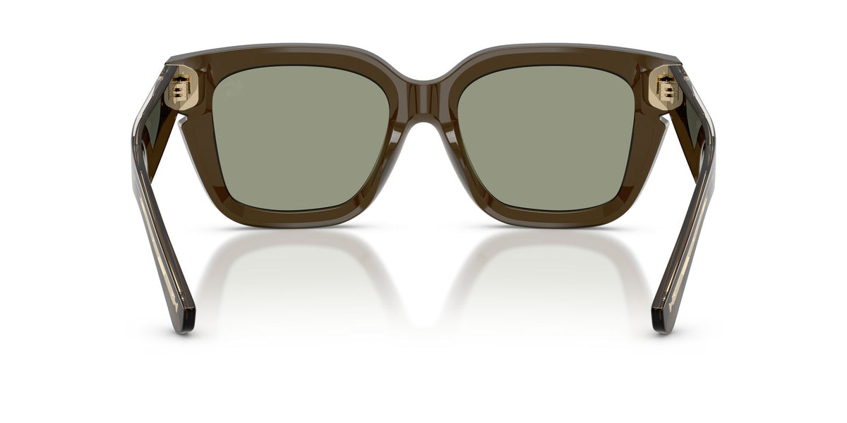 Burberry 0BE4453 3010/2 54 Green/ Green