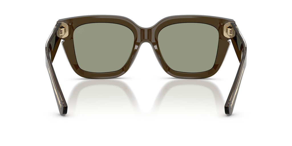 Burberry 0BE4453 3010/2 54 Green/ Green