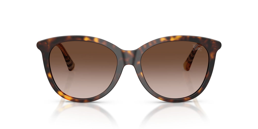 Burberry 0BE4455F 421613 55 Dark Havana/ Brown Gradient