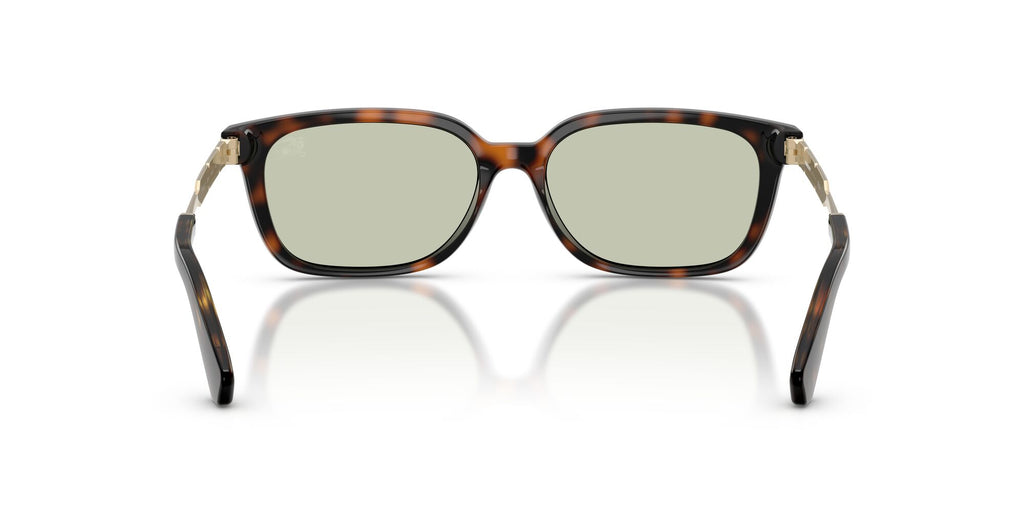 Burberry 0BE4481D 3002/2 54 Dark Havana/ Light Green