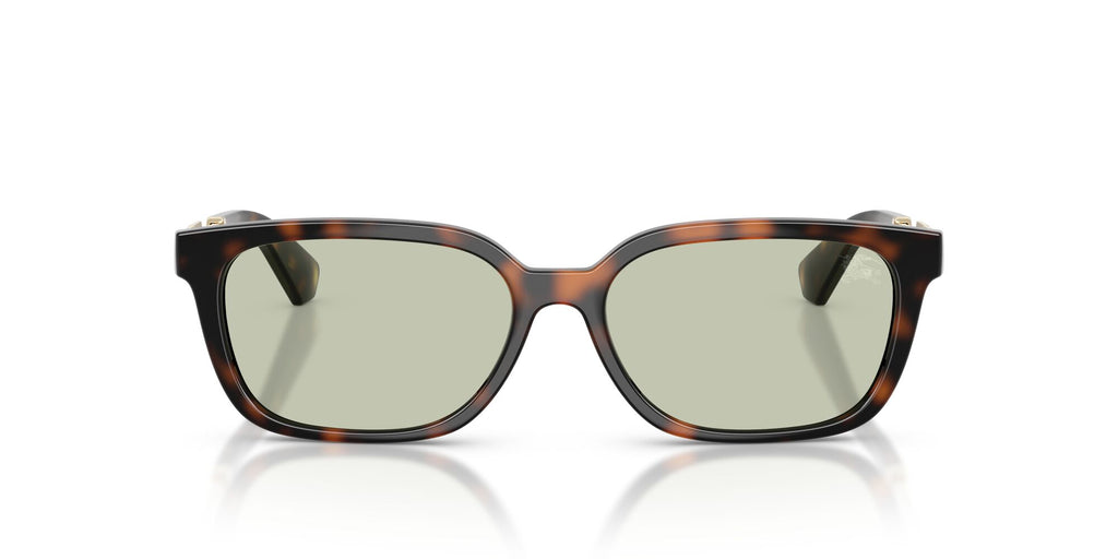 Burberry 0BE4481D 3002/2 54 Dark Havana/ Light Green