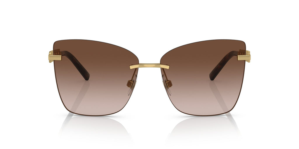 Dolce & Gabbana 0DG2289 02/13 59 Gold/Brown/ Brown Gradient 59 / Polyamide / Metal / Metal