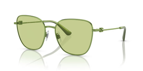 DG 2293 Dolce & Gabbana  Green / Light Green 56 56 / Polyamide / Metal / Metal