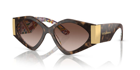 Dolce & Gabbana 0DG4396 321713 55 Havana On White Barrow/ Gradient Brown 55 / Polyamide / Acetate / Acetate