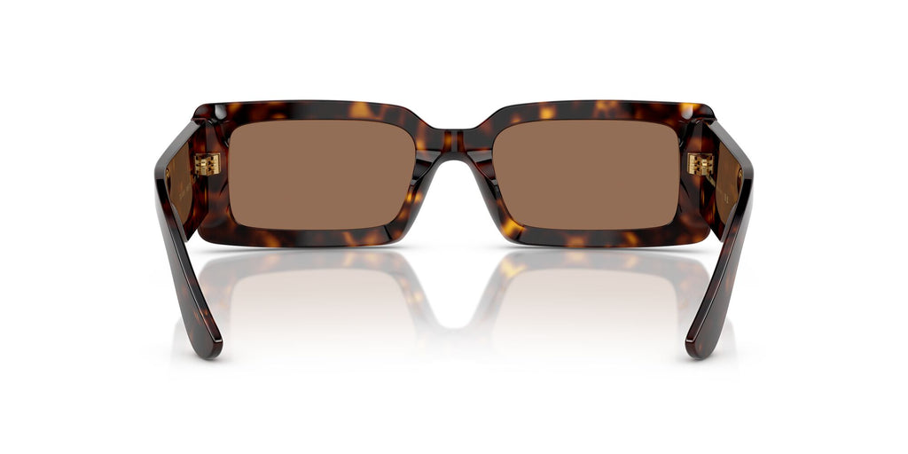 Dolce & Gabbana  0DG4416 193573 53 Havana/ Dark Brown