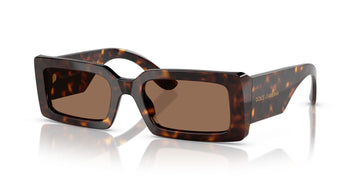 Dolce & Gabbana  0DG4416 193573 53 Havana/ Dark Brown